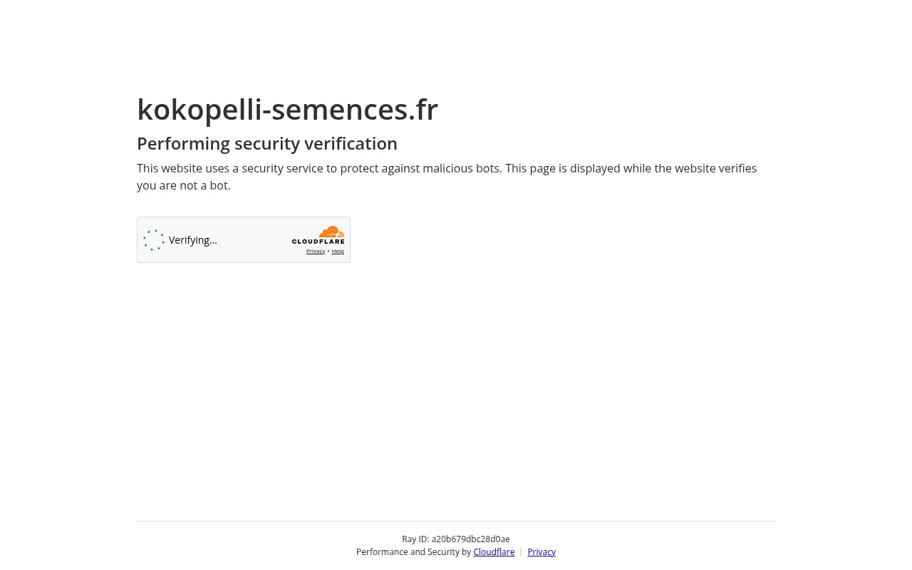 Aperçu de Kokopelli